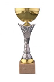 Cupe Sportive CE 01